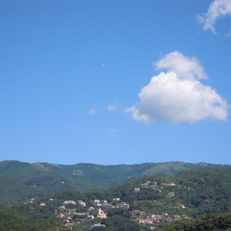 Genovese Villa Elena Appartamenti Varazze Ngoại thất bức ảnh